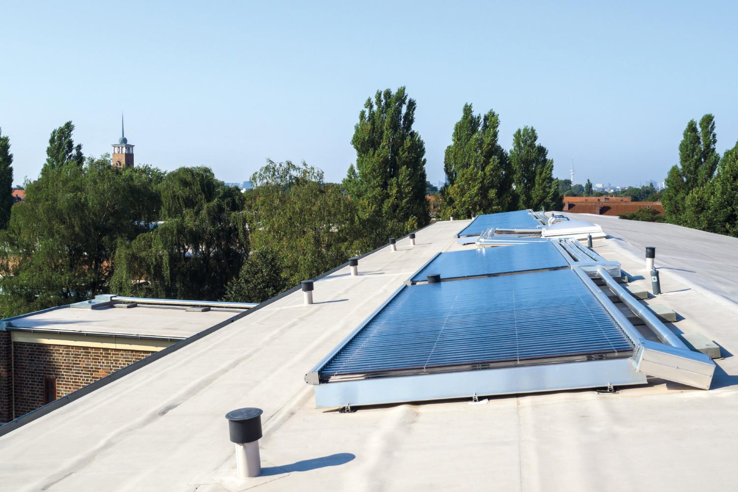 Nachhaltigkeit der Lebensformate